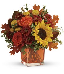 Teleflora's Hello Autumn Bouquet from Swindler and Sons Florists in Wilmington, OH